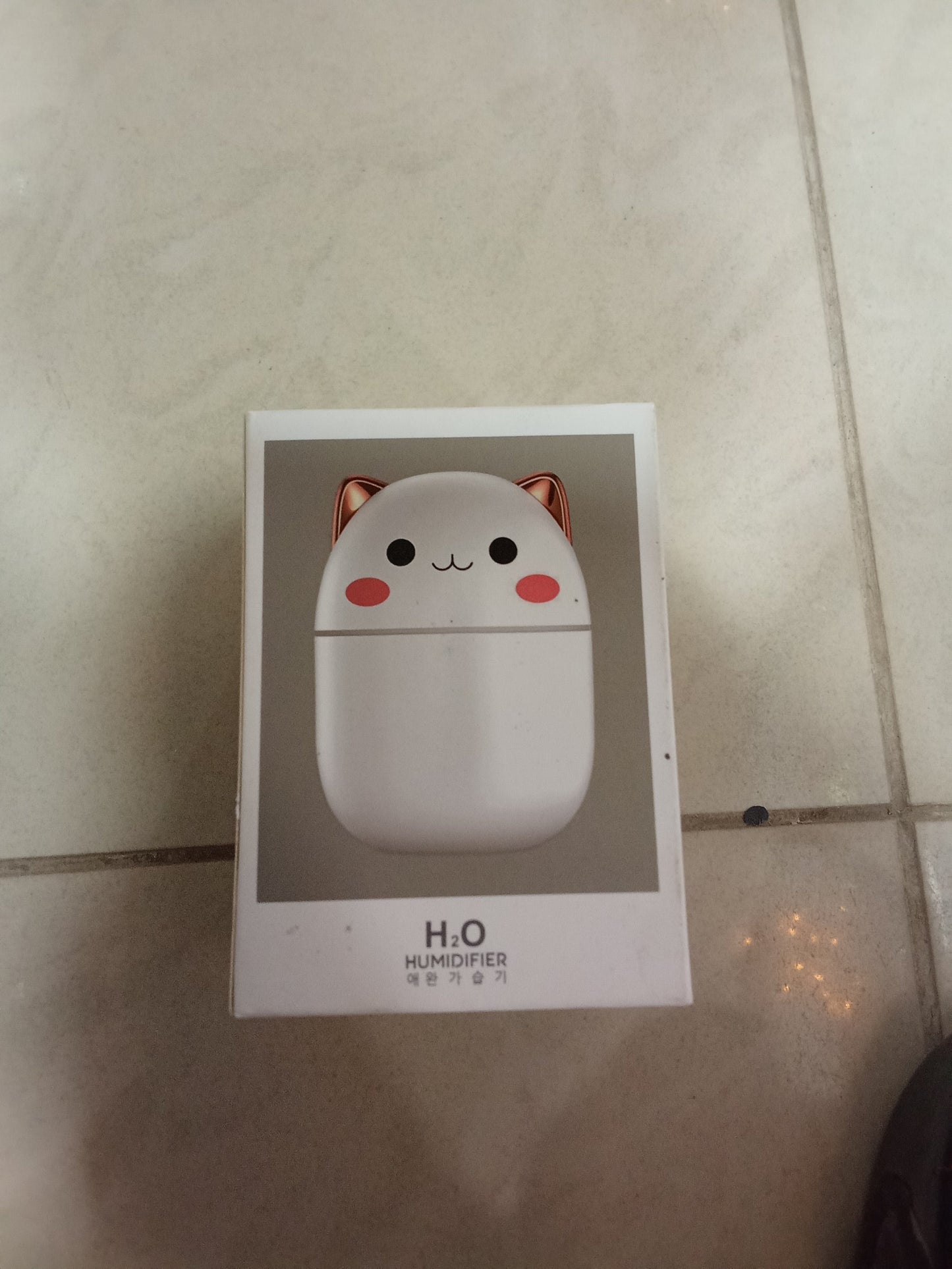 H2O Humidifier