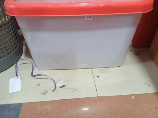 Roller Box 45 Liter