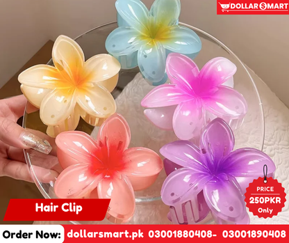 Hair Catcher - Hair Clip _ Pastal Clip