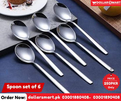 Spoon - Set of 6 Spoons
