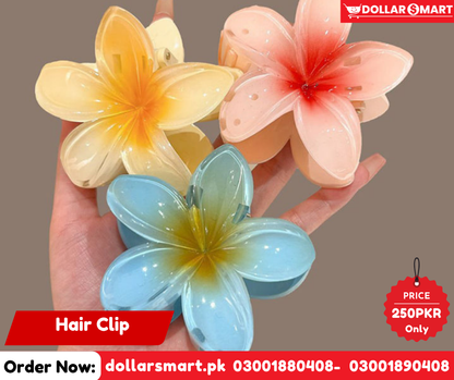 Hair Catcher - Hair Clip _ Pastal Clip