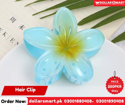 Hair Catcher - Hair Clip _ Pastal Clip