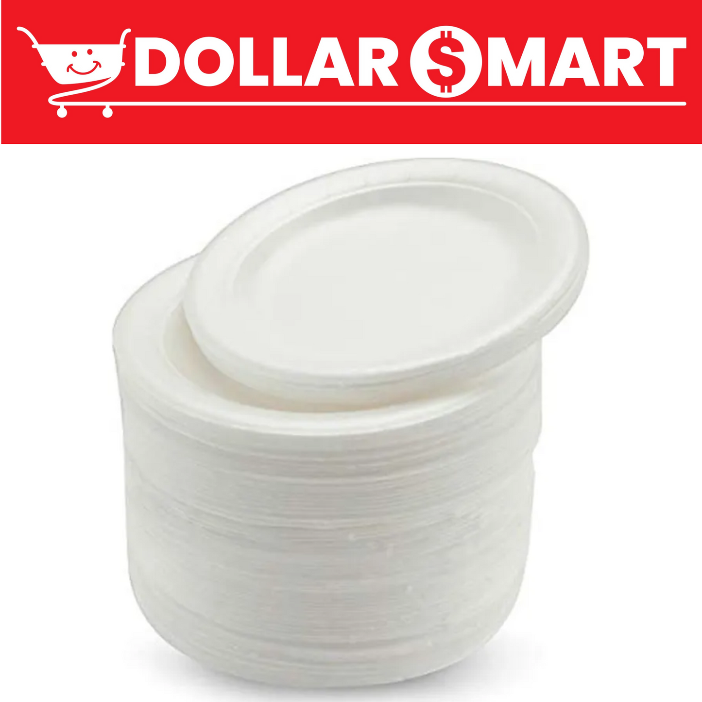 Disposable Plastic Plate Large Size