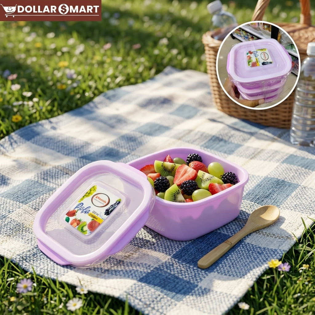 Airtight Food Box Small 4 PCS
