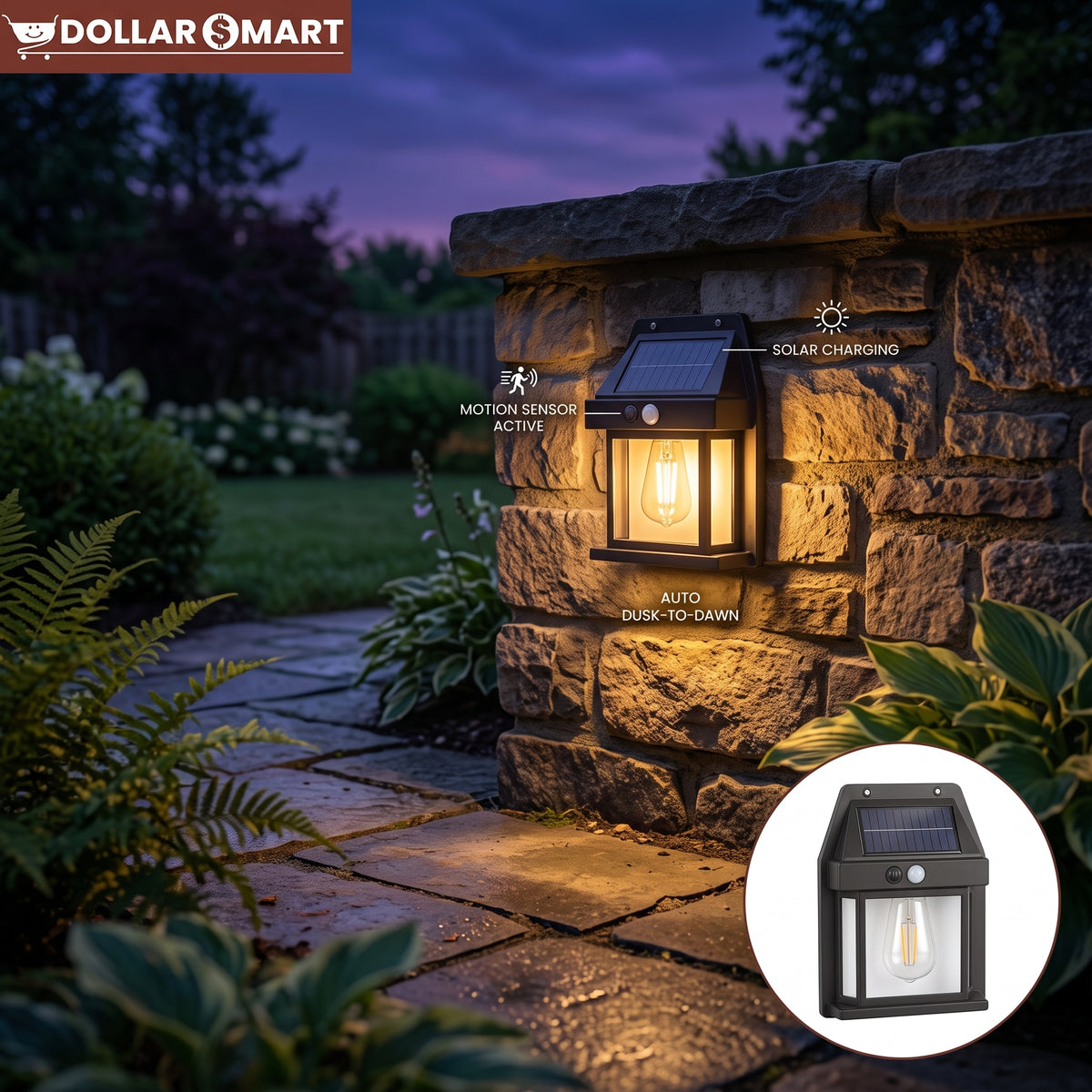 Solar Outdoor Light