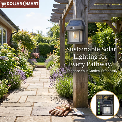Solar Outdoor Light