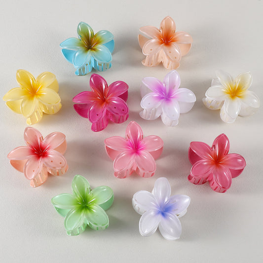 Hair Catcher - Hair Clip _ Pastal Clip