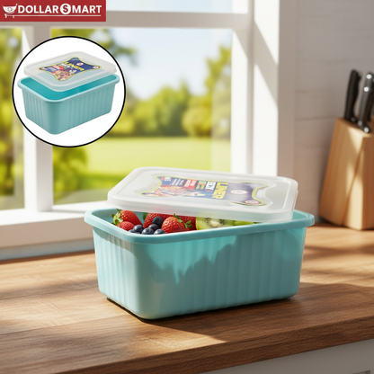 Airtight Storage Box 1 pcs - Dollar$ Mart