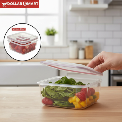 Fancy Storage container medium