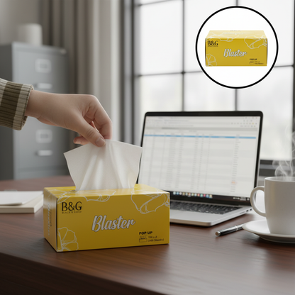 B&G Tissue Box 300 sheets