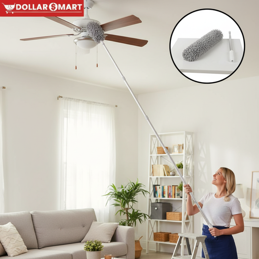 Fan Duster - Extendable Duster