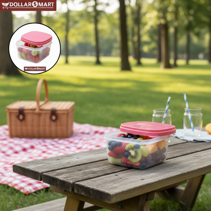 Food Container 4 pcs