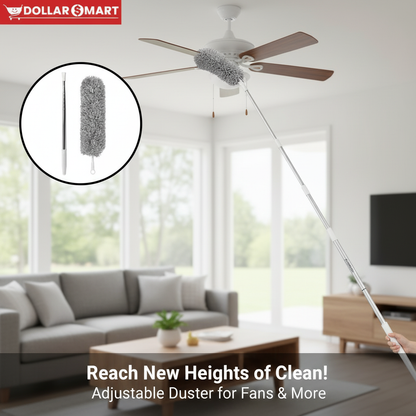 Fan Duster - Extendable Duster