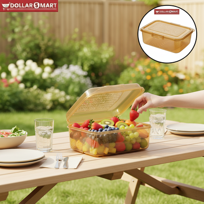 Airtight kitchen Box large 1pcs - Dollar$ Mart