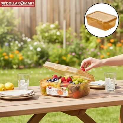 Airtight kitchen Box large 1pcs - Dollar$ Mart