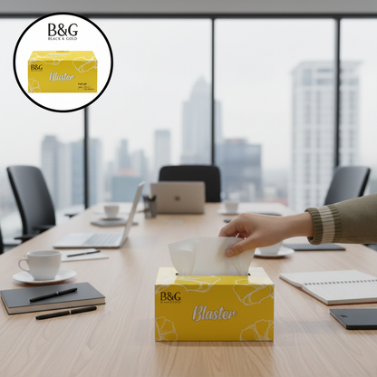 B&G Tissue Box 300 sheets