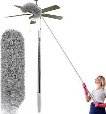Fan Duster - Extendable Duster